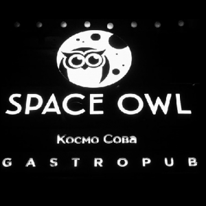 SPACE OWL
